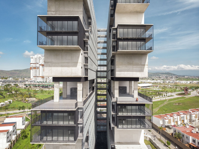 ����� �������� Amani