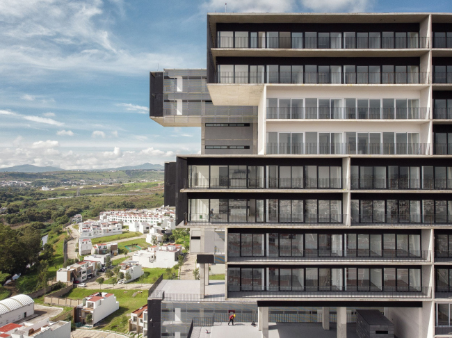 ����� �������� Amani