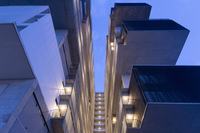 ����� �������� Amani