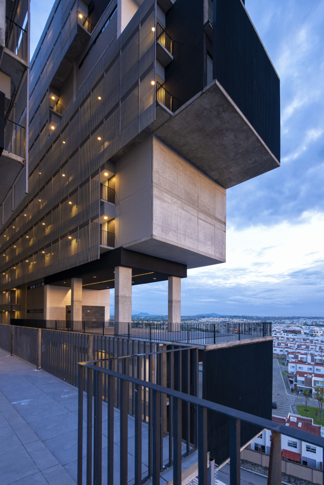 ����� �������� Amani