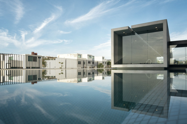 ����� �������� Amani