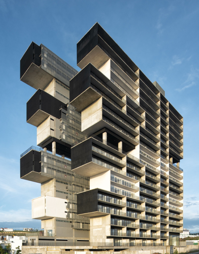 ����� �������� Amani