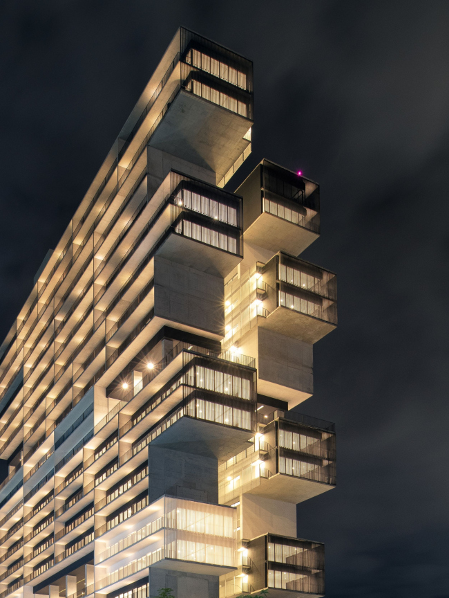 ����� �������� Amani