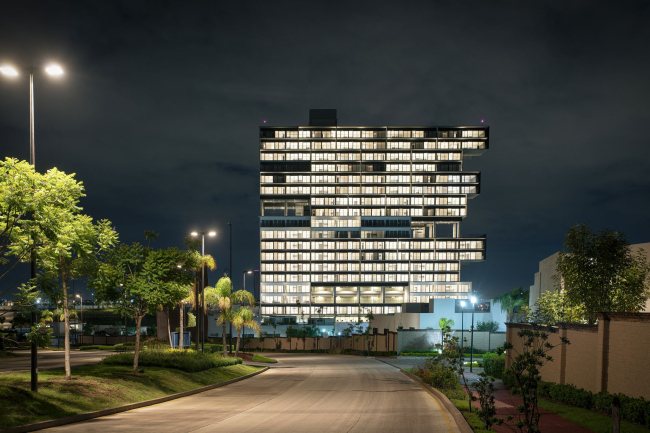 ����� �������� Amani