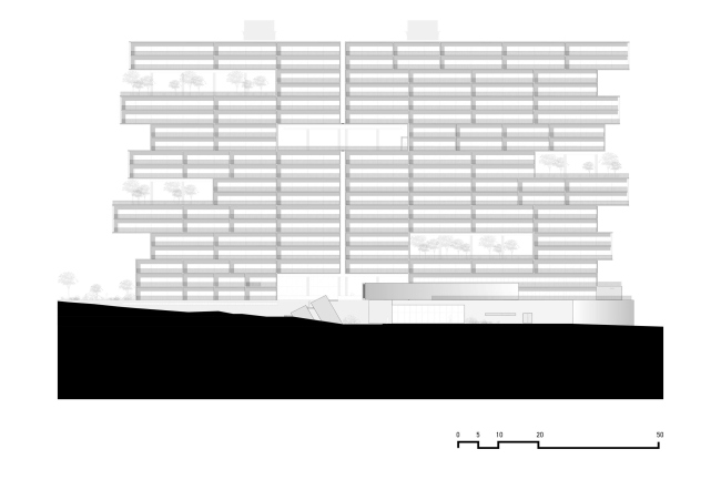 ����� �������� Amani