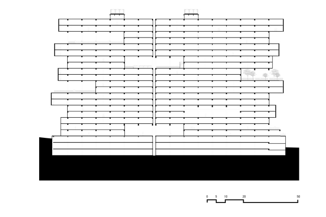 ����� �������� Amani