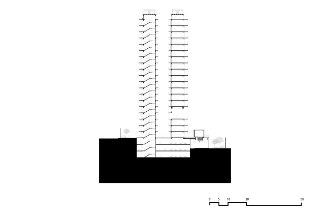 ����� �������� Amani