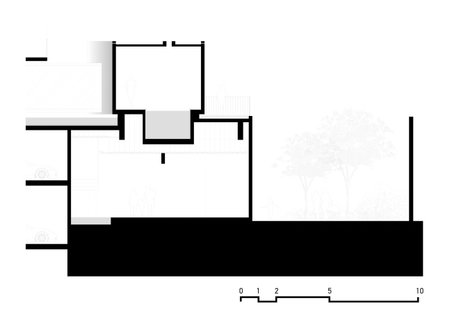 ����� �������� Amani