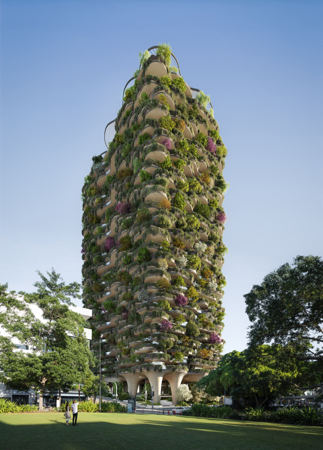 ������ Urban Forest