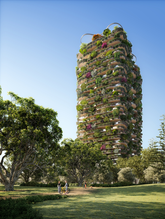 ������ Urban Forest