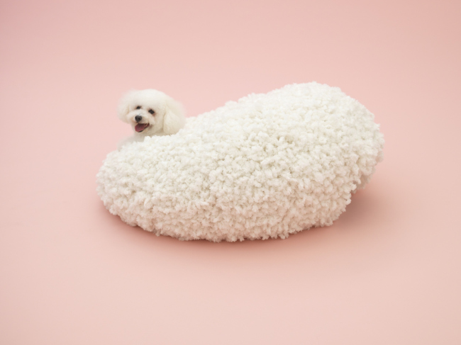 ����������� ��� ����� ����� (Architecture for the Bichon Frise) �� ����� �������. ������ ������������ ��� �����