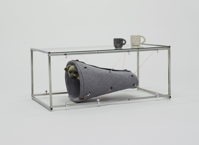 ����� (Cocoon) ��� ������������ ������� �� FGMF. ������ ������������ ��� �����