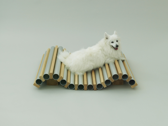 ���������� (Dog Cooler) ��� ����� �� ������ �����. ������ ������������ ��� �����