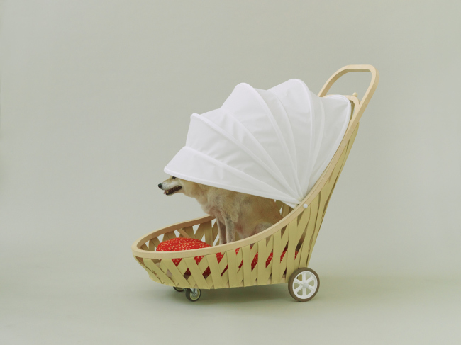 ��������� ��� (Mobile Home for Shiba) ��� ����-��� �� ��� ���. ������ ������������ ��� �����