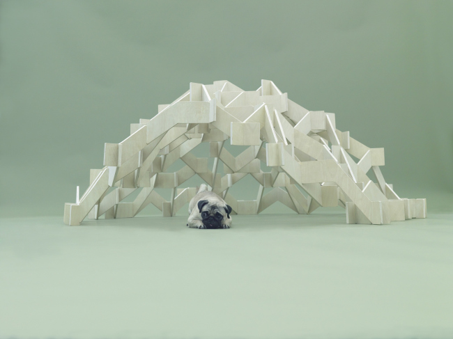 ���� (Mount Pug) ��� ����� �� ����� ����. ������ ������������ ��� �����