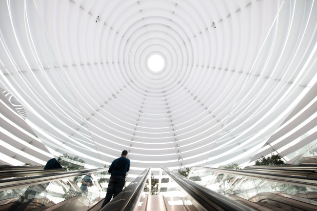 ������� Apple Marina Bay Sands