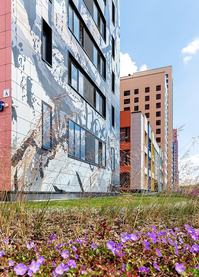 �� �������� ���