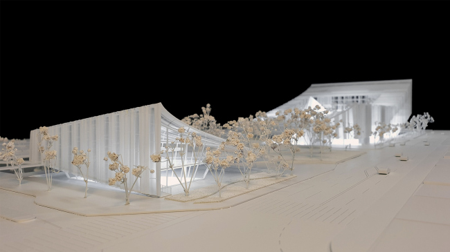 ����� ������ �������