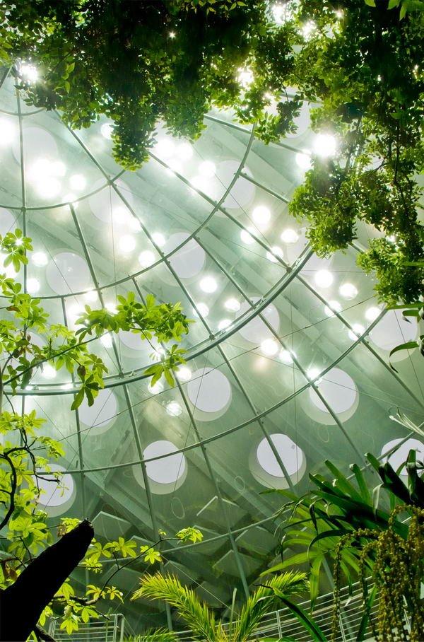 �������������� �������� ����