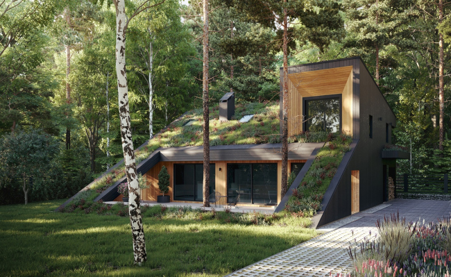����� ���. ������ ���������. Snegiri Architects
