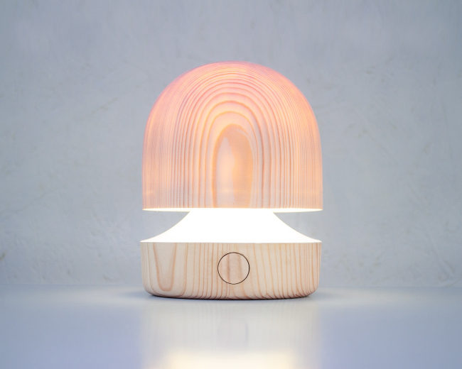 ����������.
���� �����������