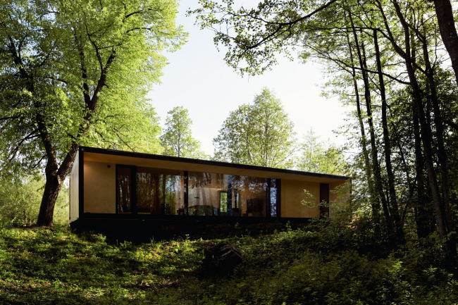 D.O.M.+ 125M2. ������ ��������. ARCH.625