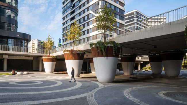 ���� �������� ����. ����� �������� ������� (������� 1�)