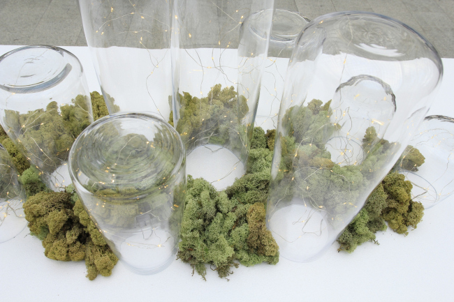 ��������� 2020, �������� ����