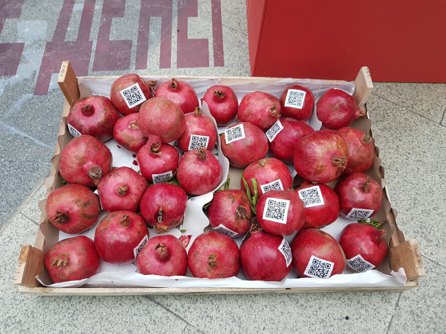 ��������� 2020, �������� ����