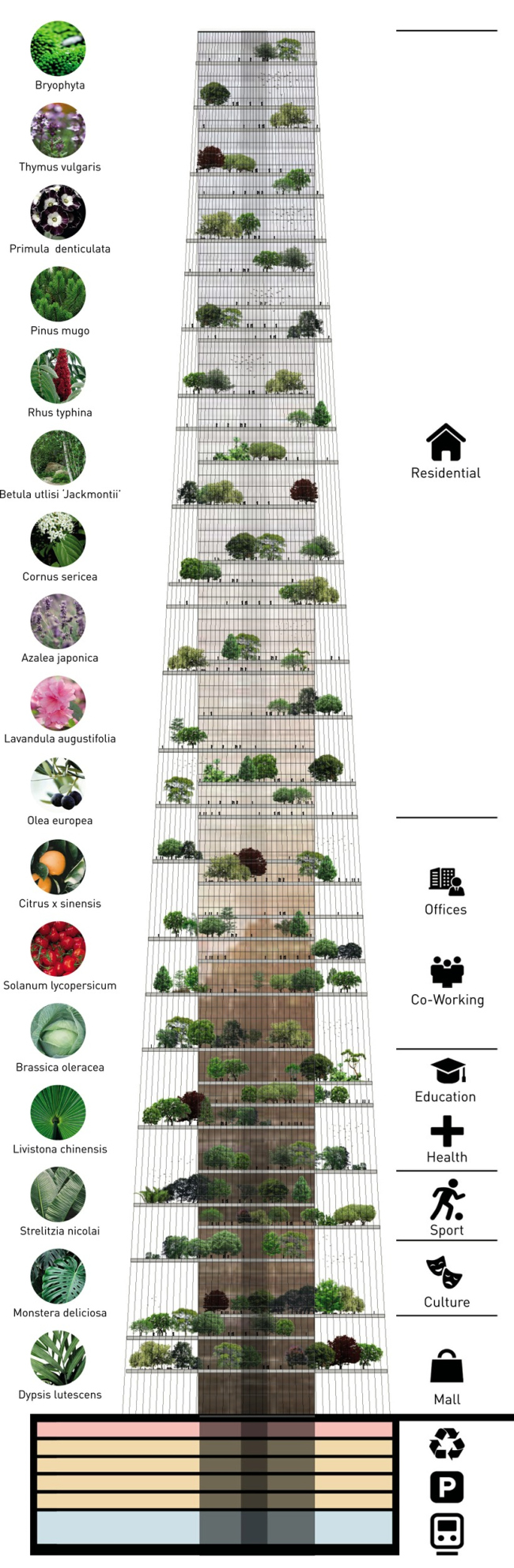 ������. ������ ��������� ����� (Skylines)