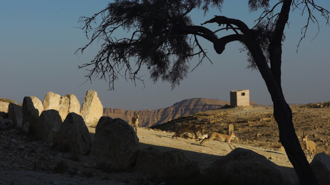 �������� ��� ����� (Landroom)