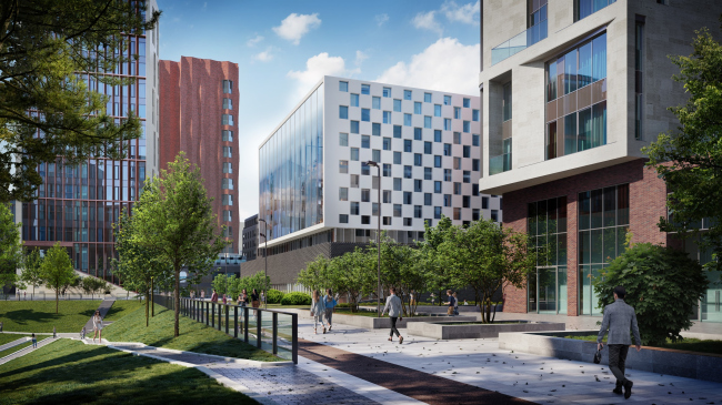 �����-����������� ������ ������. �������� ���������, ������������� �� ���������, 11.2020