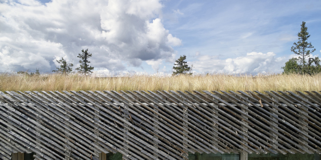 ������ ������ � ���������