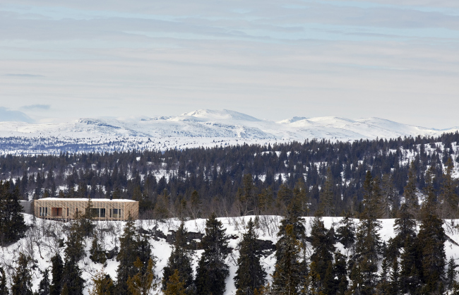 ������ ������ � ���������