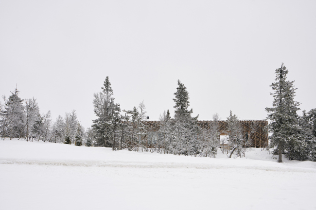 ������ ������ � ���������