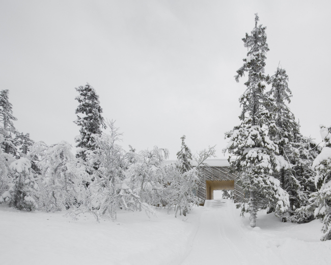 ������ ������ � ���������