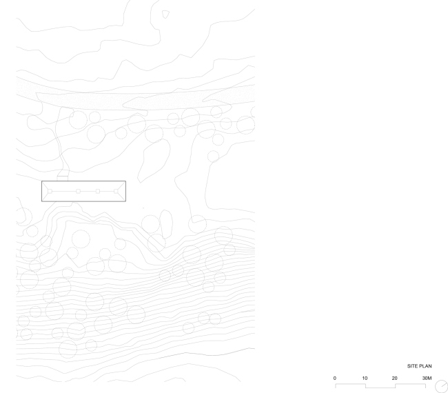 ���� ���������. ������ ������ � ���������