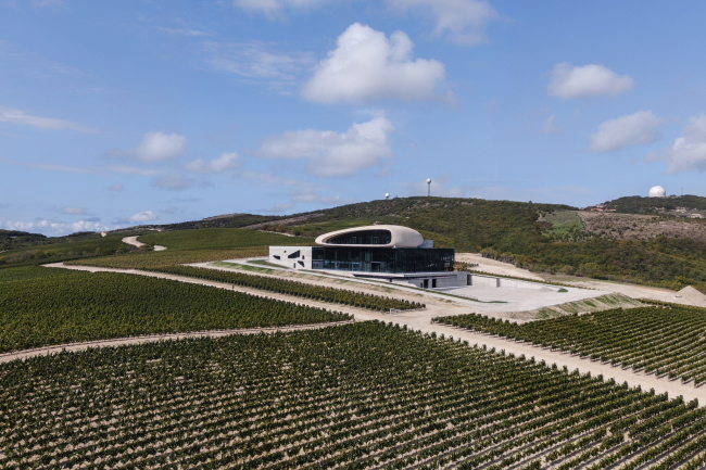 "Skalisty Bereg (Rocky Shore") winery