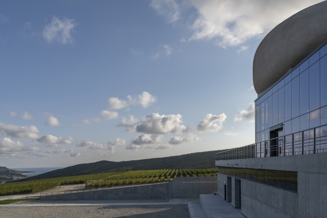 Rocky Shore winery