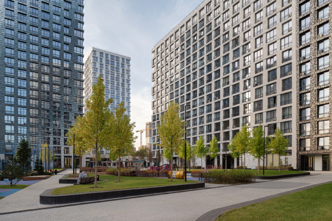 �� �Life-�����������