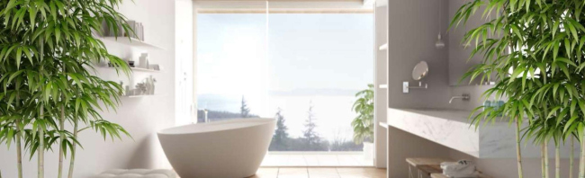 ����� ������� ��������� Baumit Ceramic