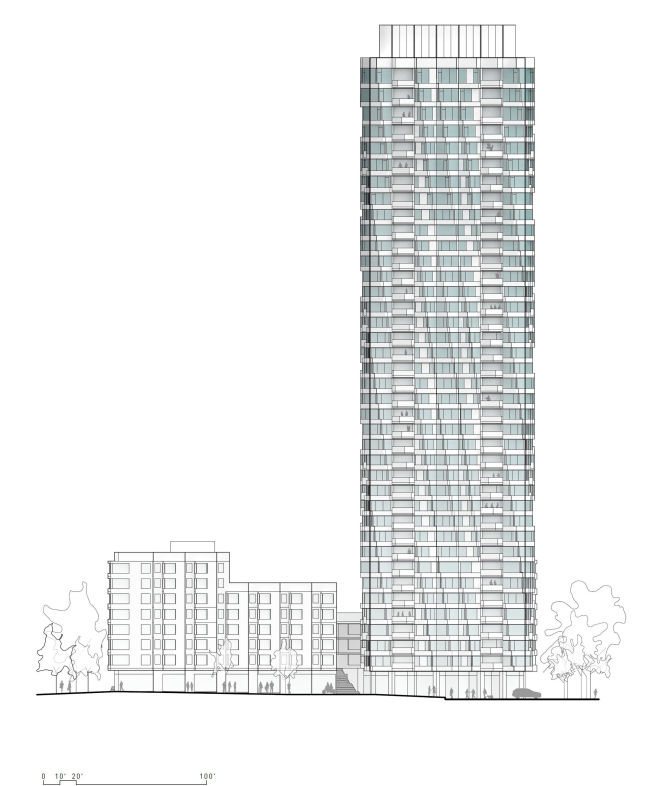 ����� MIRA