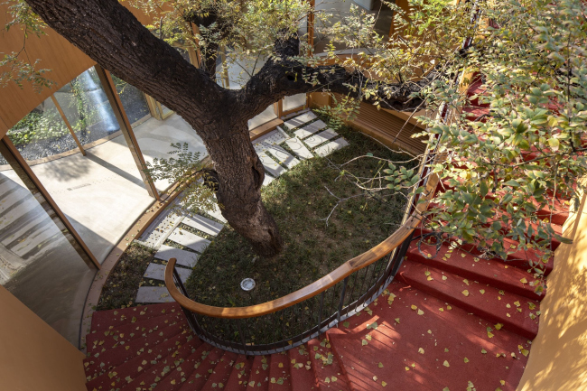 ������� ��� �������