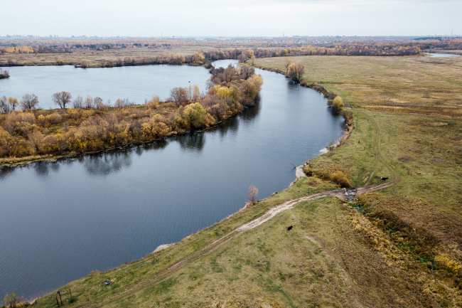 ���� �������