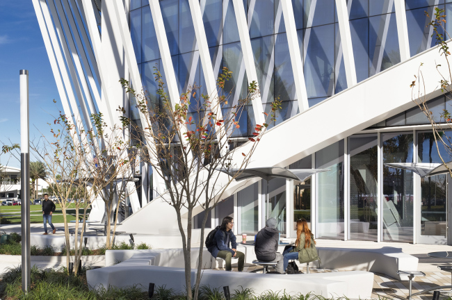 ������ ������������� ����� ����� ���� ��������