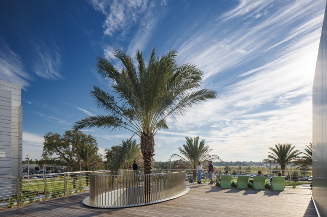 ������ ������������� ����� ����� ���� ��������