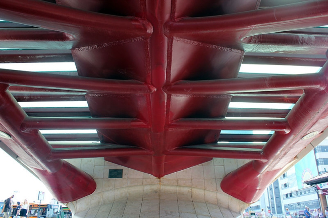 ���� �����������