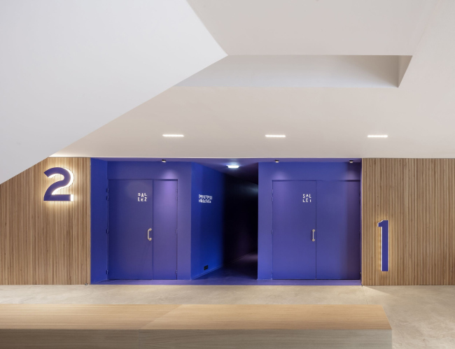 ��������� Grand Palais