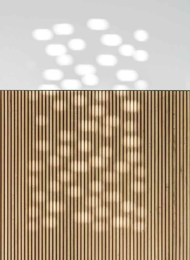 ��������� Grand Palais