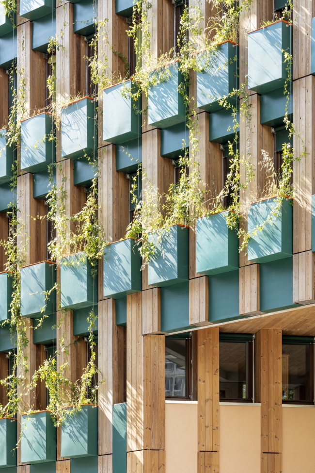 ����� �������� Edison Lite